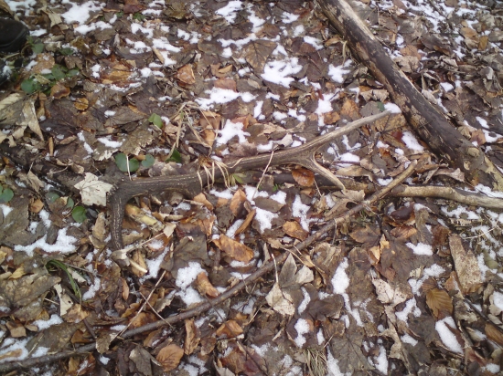 Konečne prvý do novej sezóny