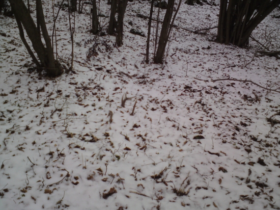 Prvý pohlad je ten najkrajší