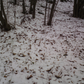 Prvý pohlad je ten najkrajší