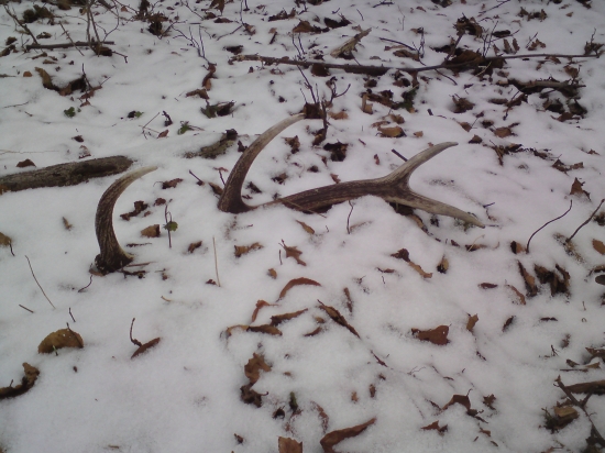 Detail včerajšieho zhodu