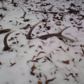 Detail včerajšieho zhodu