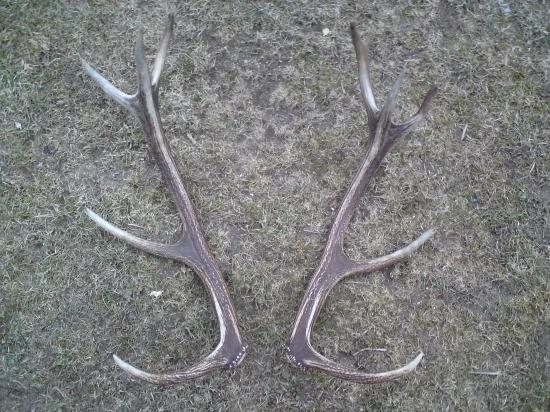 Po viac ako roku sú zasa spolu