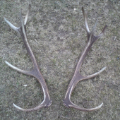 Po viac ako roku sú zasa spolu