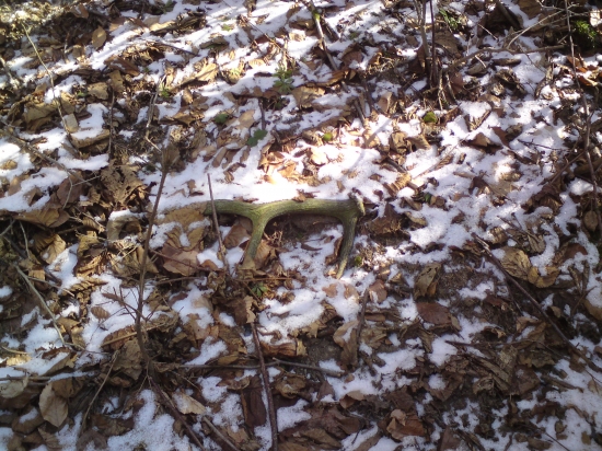 Aj starý sa počíta