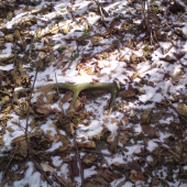 Aj starý sa počíta