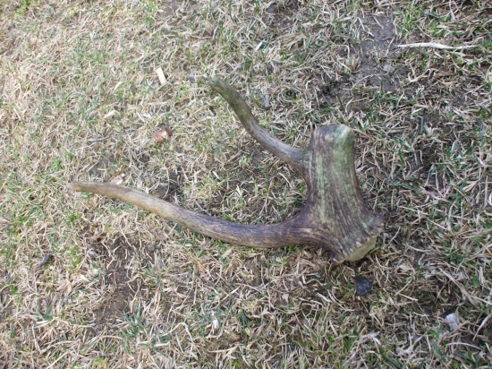 Taká menšia zujmavosť