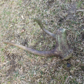 Taká menšia zujmavosť