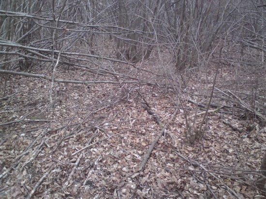 Kde je?? prvý pohľad