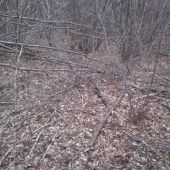 Kde je?? prvý pohľad