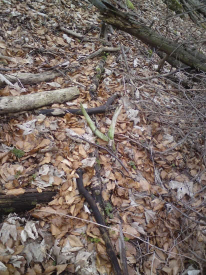 Aj keď starý ale je