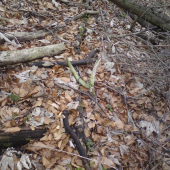 Aj keď starý ale je