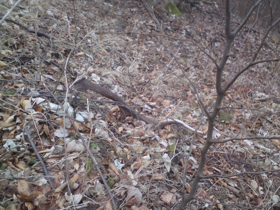 Posledných 10 metrov a predsa