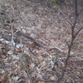 Posledných 10 metrov a predsa