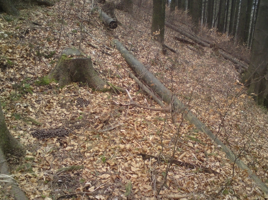 Pohľad na ktorý sa nezabúda