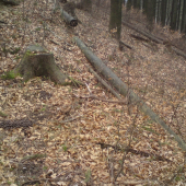 Pohľad na ktorý sa nezabúda