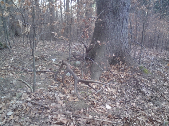 Tomu sa hovorí Krása