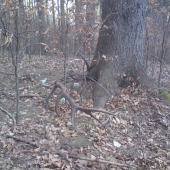 Tomu sa hovorí Krása