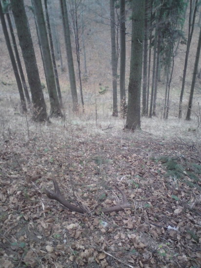 Keď pršalo mrholilo paru 12-torakou nájsť sa podarilo