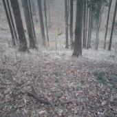 Keď pršalo mrholilo paru 12-torakou nájsť sa podarilo