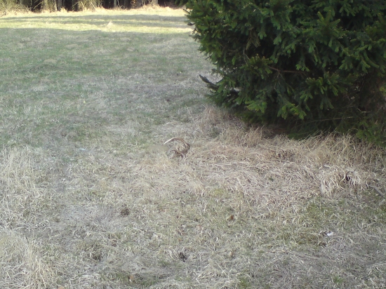 Už som vedel koľká bije