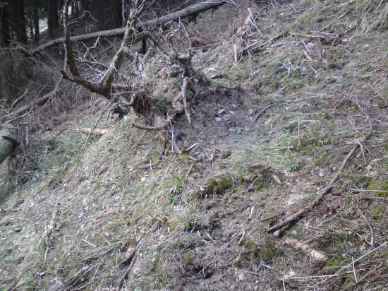 Na Bielu Sobotu sa podarilo