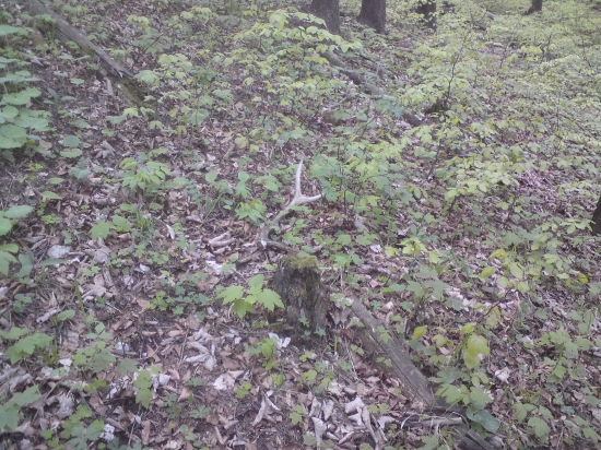 V takýto koniec som ani nedúfal