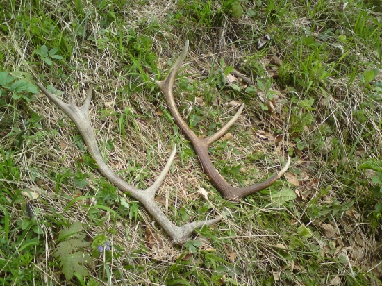 Dnešný úspešný deň