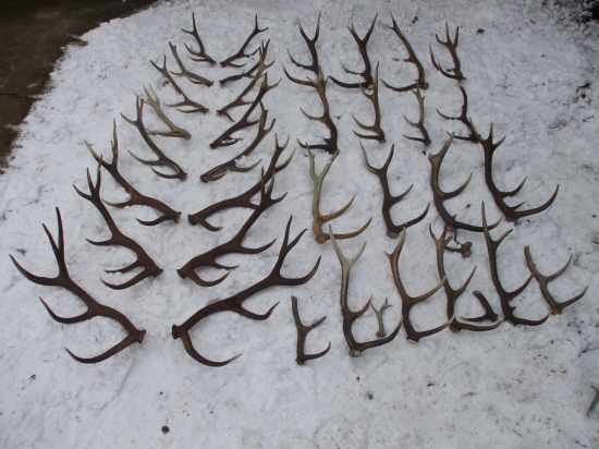 Ukončenie sezóny 2011