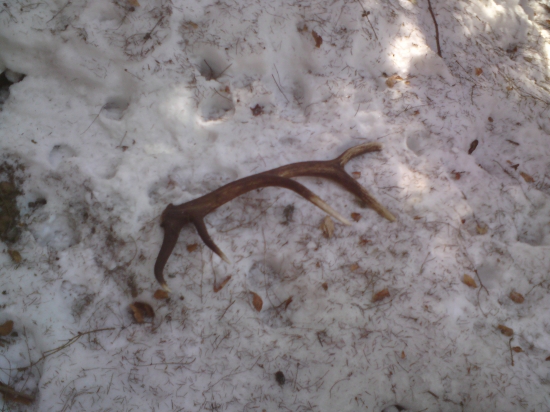 Najkrajší pohľad prvý tento rok