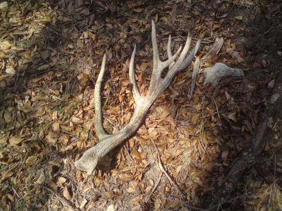 Tu je už vonku ID 159045