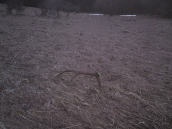 Našiel som ho skoro po tme