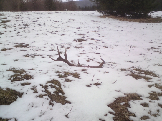 Najkrajšie prvoaprílové prekvapenie 16 torak