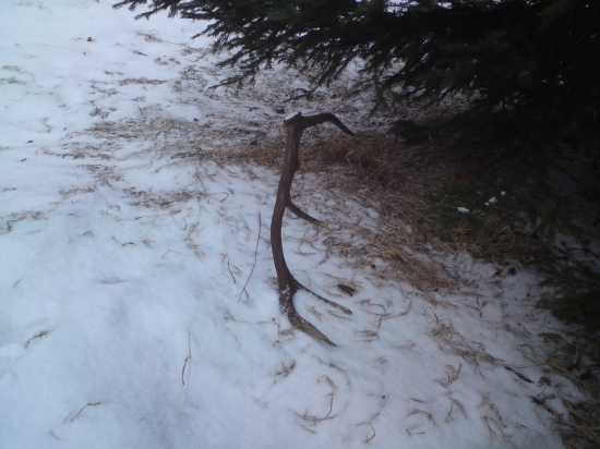 Takto ma čakal pár ku ID 161009