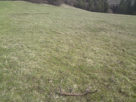 Krásne ráno 10-toraky