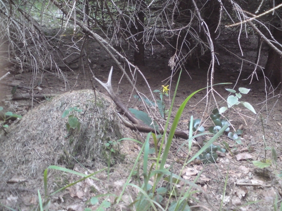 Po dlhšej dobe sa zase zadarelo