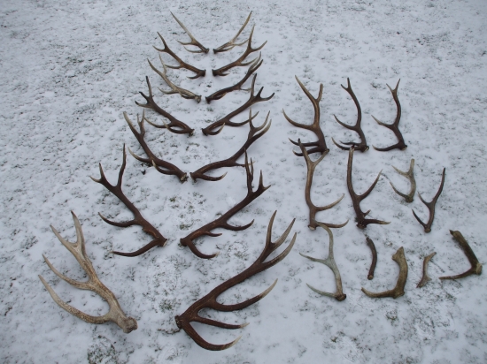 Ukončenie sezóny 2012