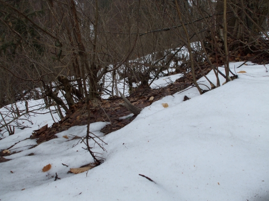 Moc z neho netrčalo ale aj tak som ho našiel