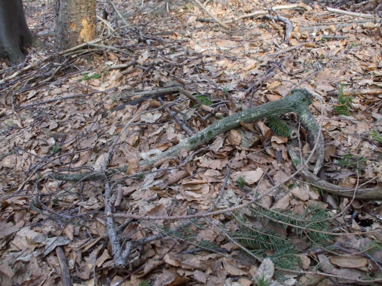 Ten si na mňa počkal poriadne dlho