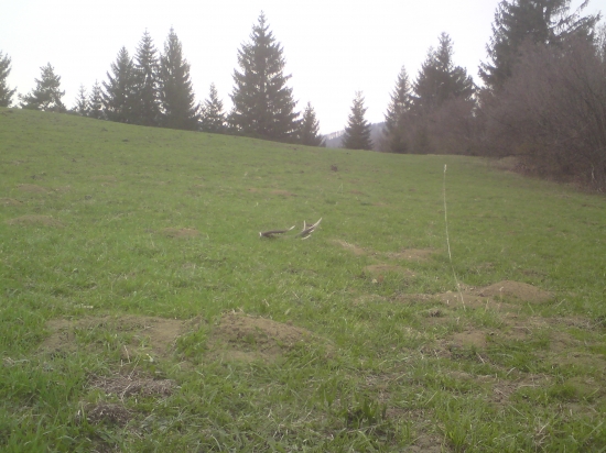 Po roku sa naše cesty opäť stretli