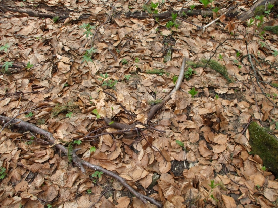 Rok si počkal na mňa