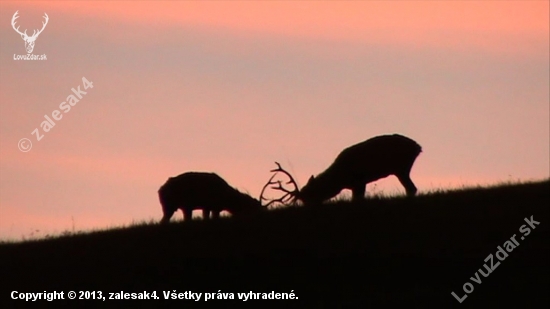 súperenie na svitaní