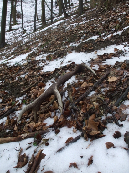 Sezóna 2014 je úspešne odštartovaná