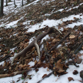 Sezóna 2014 je úspešne odštartovaná