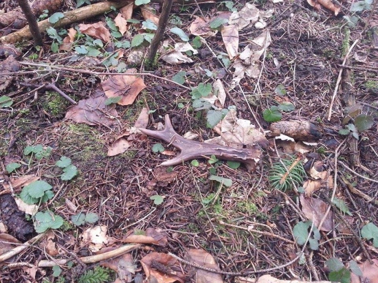 Aj takto sa dá začať sezóna