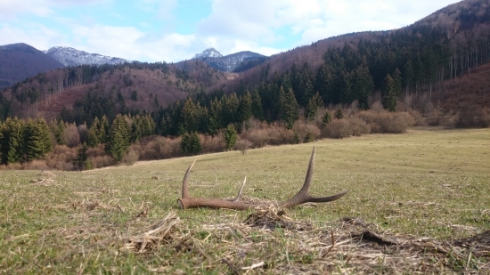Pre takéto scenérie sa oplatí chodiť do prírody