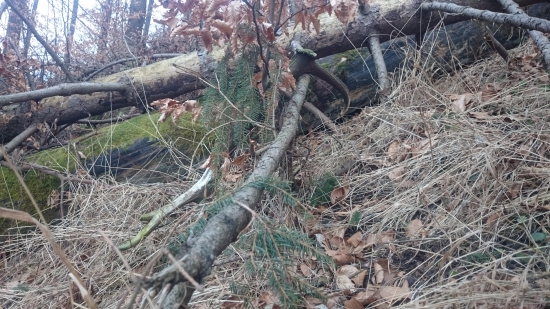 Zavesený na vývrate