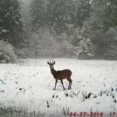 Skoro ako v Decenbri