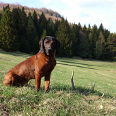 Argo a jeden pekný deň