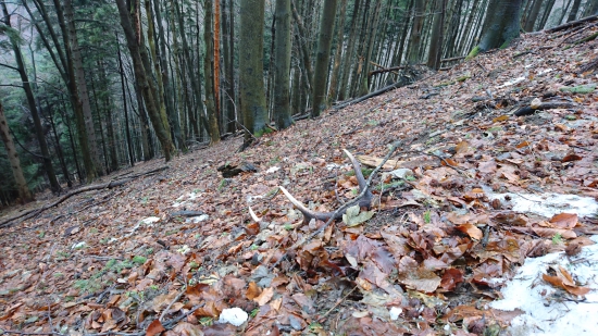 Svietil už z diaľky