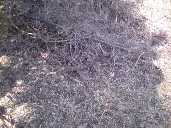 Konečne sa podarilo